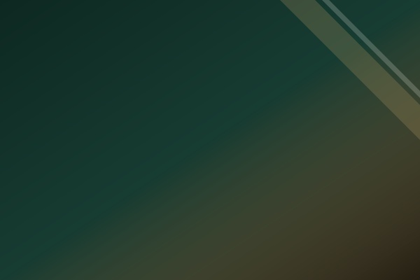 Hair Care Bundles background