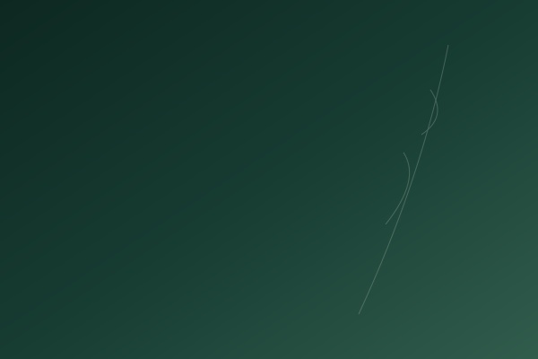 Serums & Scalp Care background